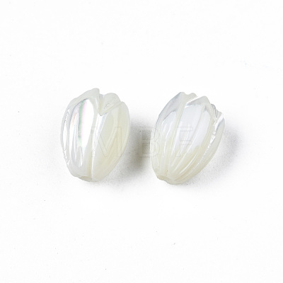 Natural Trochid Shell/Trochus Shell Beads SSHEL-T014-33-1