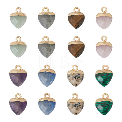 Fashewelry 16Pcs 8 Styles Natural & Synthetic Gemstone Charms G-FW0001-34-1