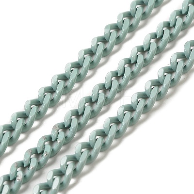 Spray Painted 304 Stainless Steel Curb Chains STAS-B067-05B-01-1