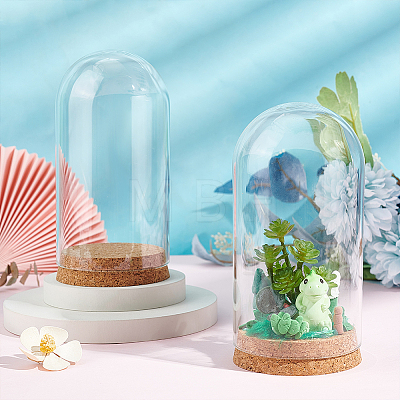 Glass Dome Cover LS-AJEW-WH0505-27-1