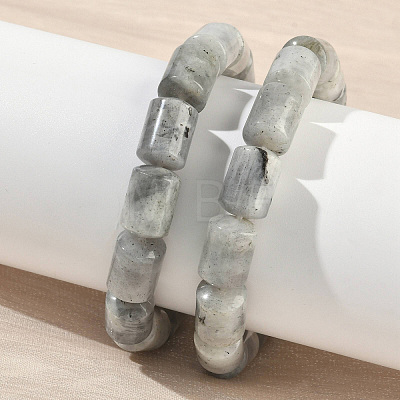 Column Natural Labradorite Beads Stretch Bracelets for Women Men BJEW-A148-01A-24-1