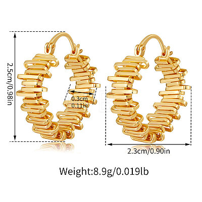 Brass Hoop Earrings for Women WGB6F4D-01-1