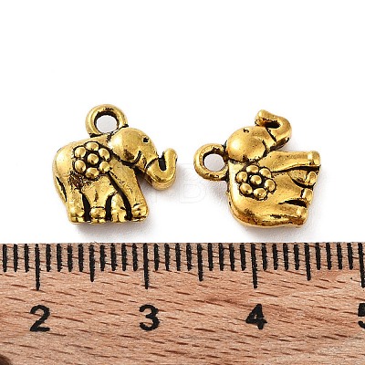 Tibetan Style Alloy Charms FIND-Q094-01AG-1