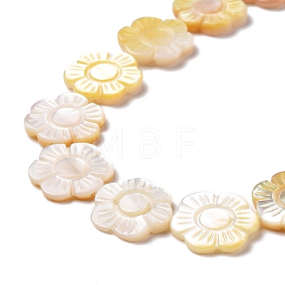 Natural Yellow Shell Beads Strands SSHEL-G023-10A-1