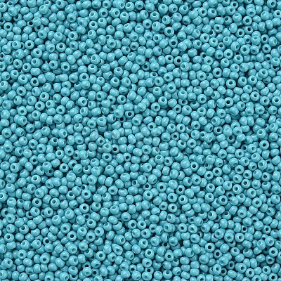 11/0 Grade A Baking Paint Glass Seed Beads X-SEED-N001-A-1016-1