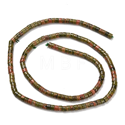 Natural Unakite Beads Strands G-P608-A10-01-1