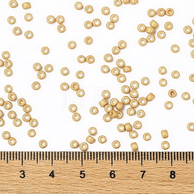 TOHO Round Seed Beads X-SEED-TR08-0557F-1