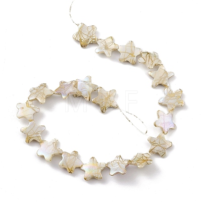 Drawbench Style Natural Freshwater Shell Beads Strands BSHE-E028-04-1