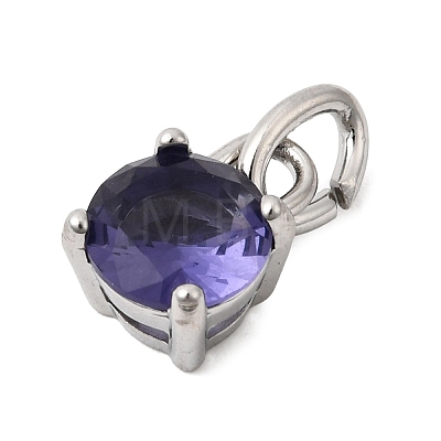 Birthdaystone Theme February 304 Stainless Steel Charms STAS-B128-60P-02-1