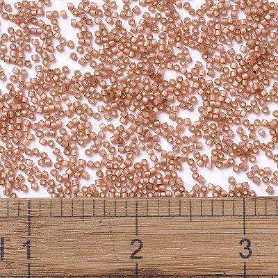 MIYUKI Delica Beads SEED-J020-DB2172-1