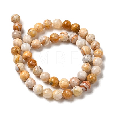 Natural Crazy Agate Beads Strands G-H298-A12-03-1