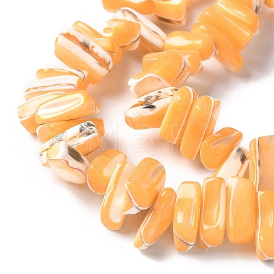 Dyed Natural Trochus Shell Beads Strands SSHEL-C013-09C-1