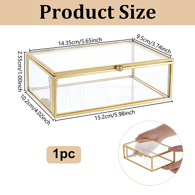 Glass & Brass Jewelry Box with Chain Hinge CON-WH0110-335A-1