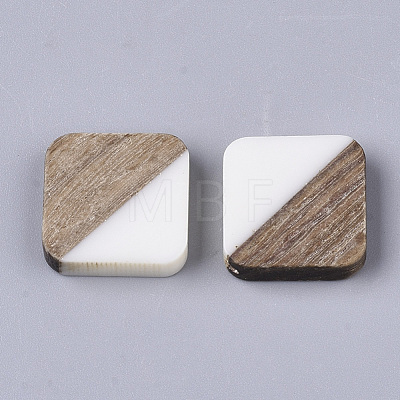 Resin & Walnut Wood Cabochons RESI-S358-A-90G-1