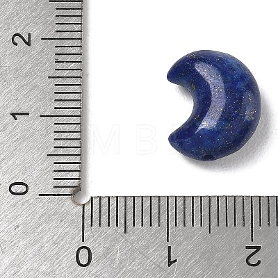 Natural Lapis Lazuli Beads G-T149-01E-1
