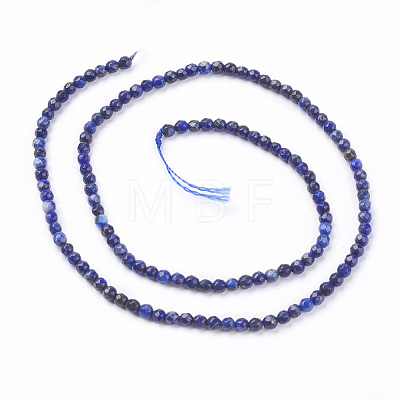 Natural Lapis Lazuli Beads Strands X-G-K020-3mm-23-1