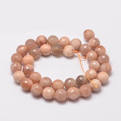 Faceted Round Natural Sunstone Beads Strands G-I176-10-10mm-1