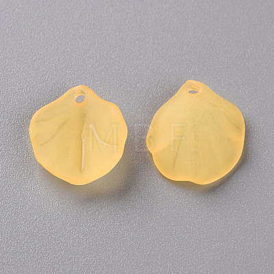 Transparent Frosted Acrylic Pendants MACR-S371-02A-719-1