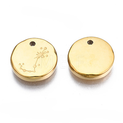 316 Surgical Stainless Steel Charms STAS-S116-418J-G-1