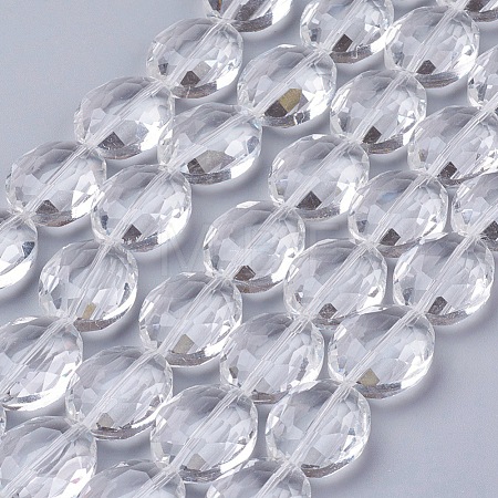Glass Bead Strands X-GLAA-S003-20x11mm-14-1