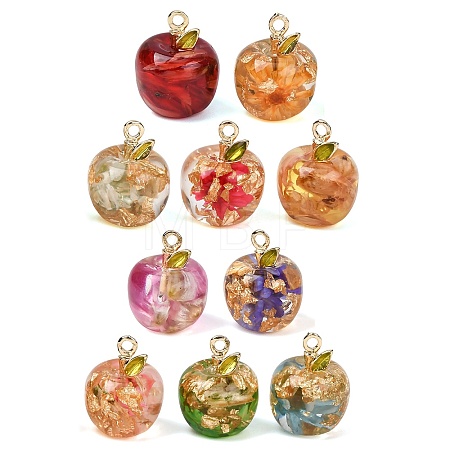 Resin Pendants RESI-I356-02-1