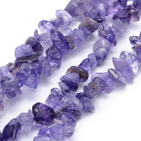 Natural Amethyst Beads Strands G-P332-06-1