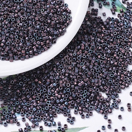 MIYUKI Delica Beads X-SEED-J020-DB0312-1