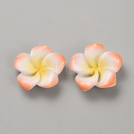 Two Tone Resin Cabochons LS-RESI-WH20010-01D-1