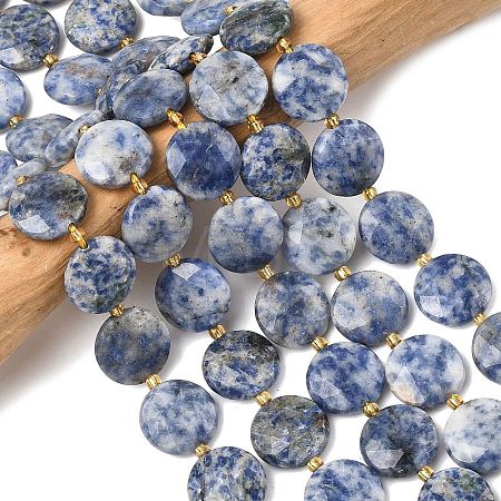 Natural Blue Spot Jasper Beads Strands G-A292-A10-01-1