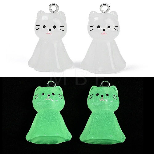 Luminous Resin Pendants RESI-R460-01A-1