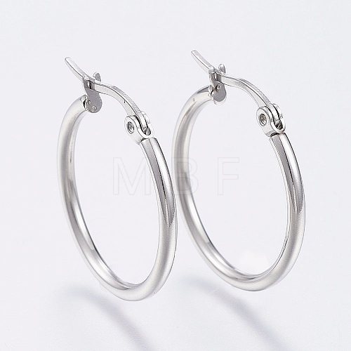 Tarnish Resistant 304 Stainless Steel Hoop Earrings X-EJEW-F105-10P-1