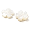 Natural White Shell Carved Beads SSHEL-Z002-02A-2