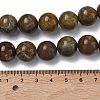 Natural Green Opal Beads Strands G-K365-F04-14mm-5