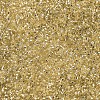 MIYUKI Delica Beads X-SEED-J020-DB0042-3