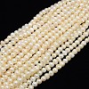 Natural Cultured Freshwater Pearl Beads Strands PEAR-L001-A-14-1