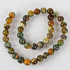 Natural Striped Agate/Banded Agate Round Bead Strands G-E234-01-2