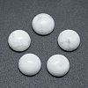 Natural Howlite Cabochons G-P393-R32-4MM-1