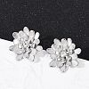 304 Stainless Steel Crystal Rhinestone Stud Earrings EJEW-G423-15P-1