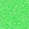 MIYUKI Delica Beads X-SEED-J020-DB2040-3