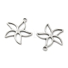 Hollow 201 Stainless Steel Pendants STAS-F337-10G-P-2