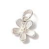 925 Sterling Silver 5-Petal Flower Charms with Jump Rings FIND-U013-02S-01-1