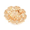12Pcs Exquistie Rhinestone Brooch JEWB-G047-01KCG-2