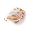 Natural Spiral Shell Pendants PALLOY-JF02949-8