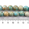 Dyed Natural Regalite/Imperial Jasper/Sea Sediment Jasper Beads Strands G-B124-C03-07-3