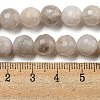 Natural Crazy Agate Beads Strands G-E571-A06-02-5