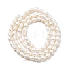 Natural Cultured Freshwater Pearl Beads Strands PEAR-I007-01O-01A-3