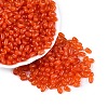 Transparent Glass Beads GLAA-Q113-01A-A05-1