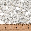 Baking Paint Glass Seed Beads SEED-F006-01A-09-4