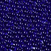 FGB Transparent Glass Seed Beads SEED-N013-01A-03-3