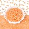 FGB Grade A Drawbench Style Glass Seed Beads SEED-Q040-02A-12-1